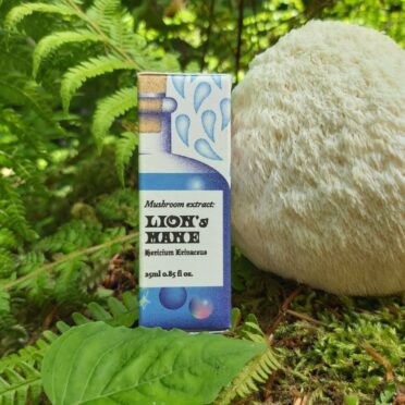 Lions Mane Mushroom Tincture Extract beside lions mane mushrooms in forest